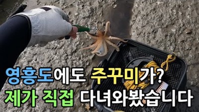 영흥도 쭈꾸미낚시 진두선착장 워킹 루어낚시 포인트 조황정보